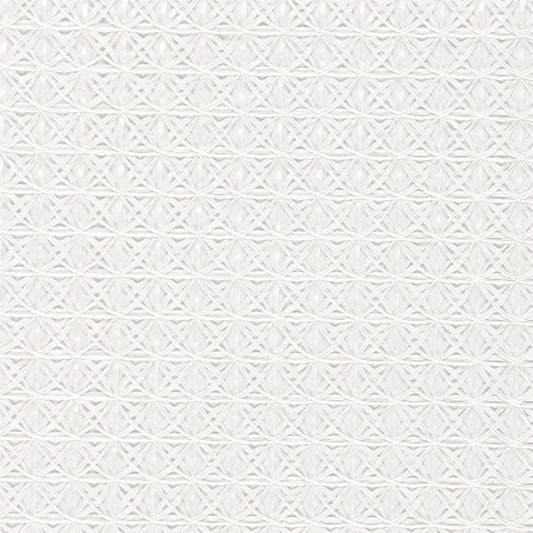 Ribbon Fabric