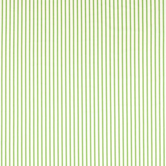 Ribbon Stripe Fabric