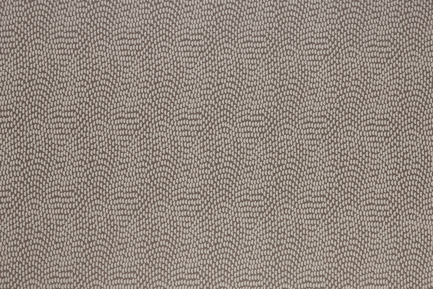 Sudetes Fabric