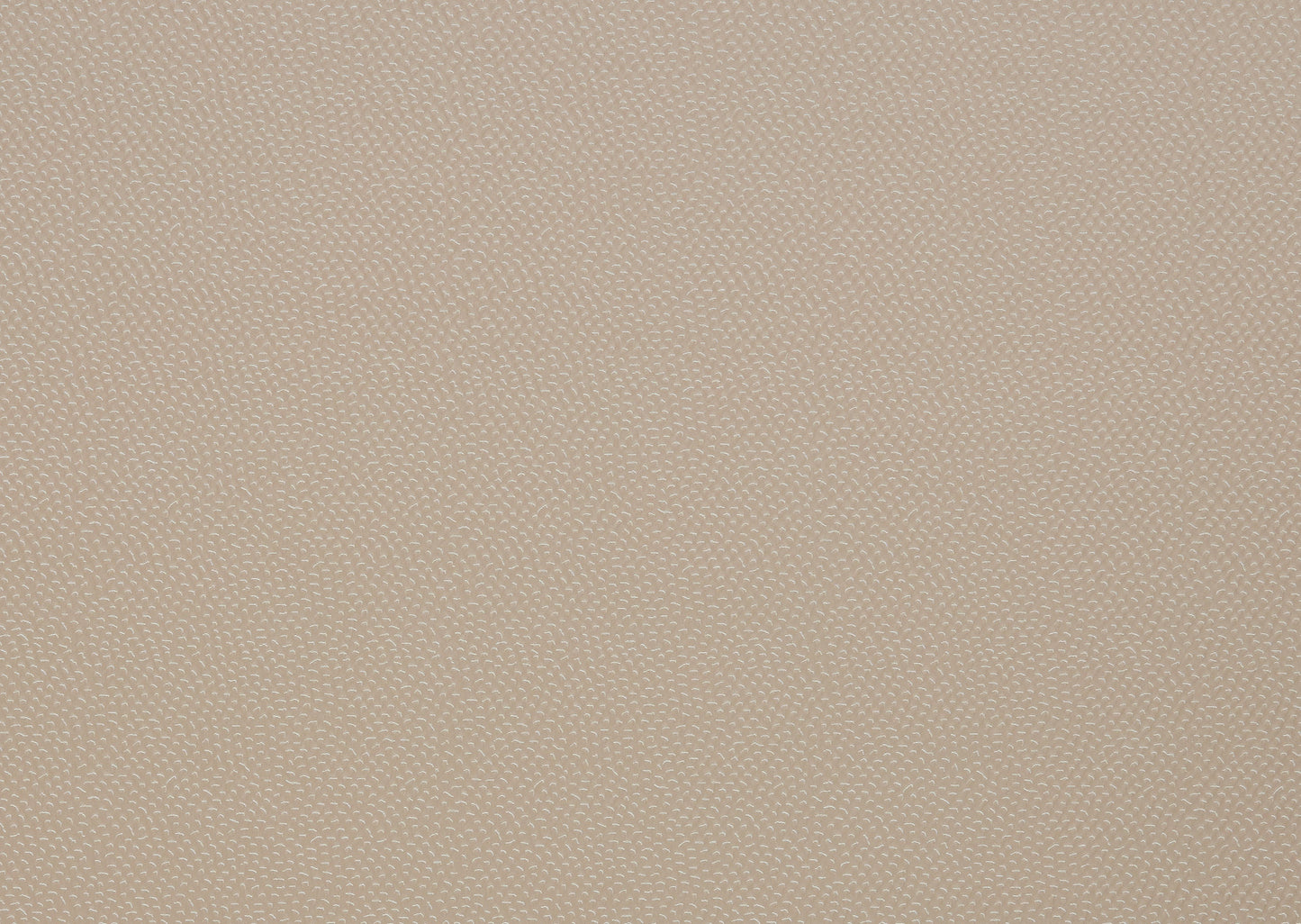 Thayer Fabric