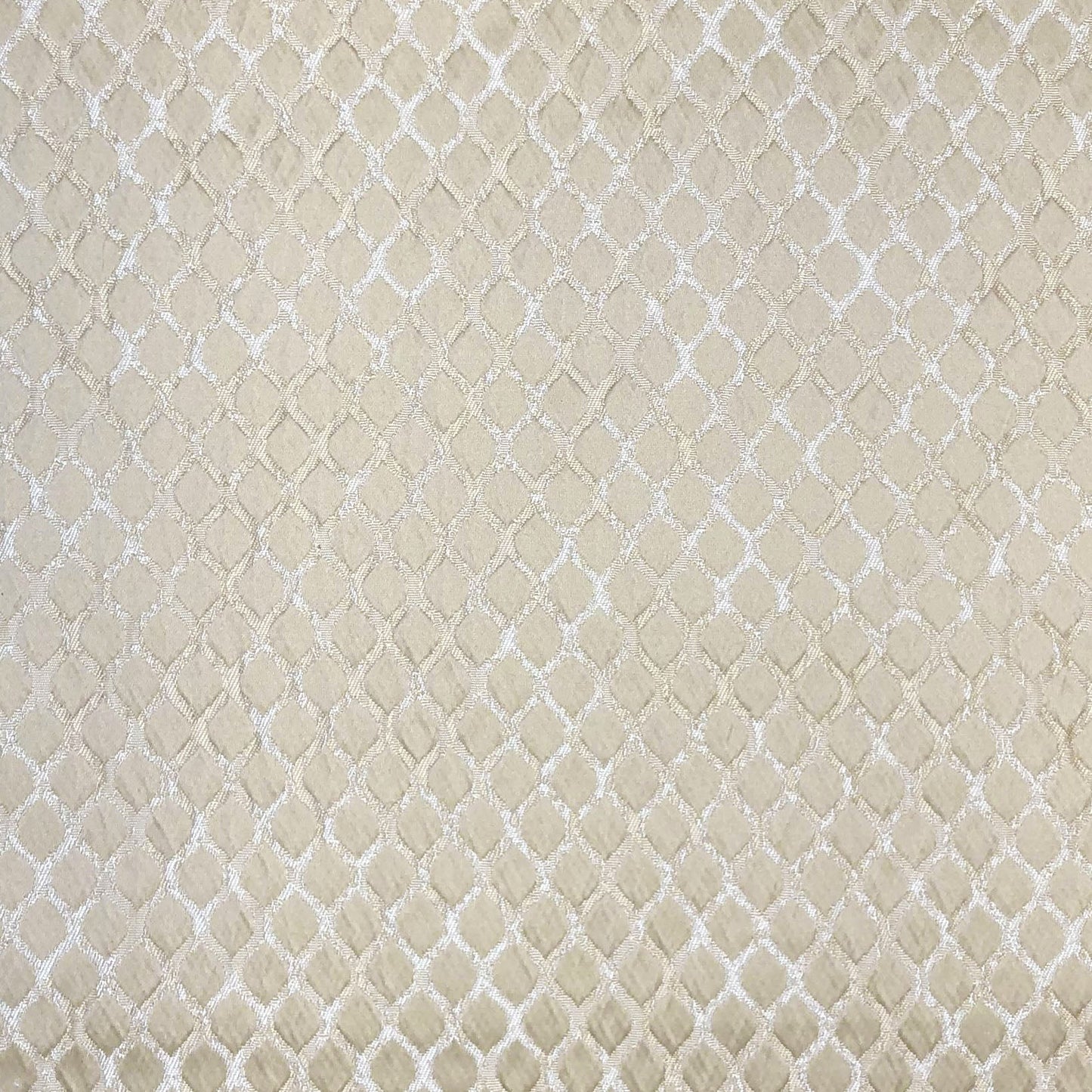 Lauren Fabric