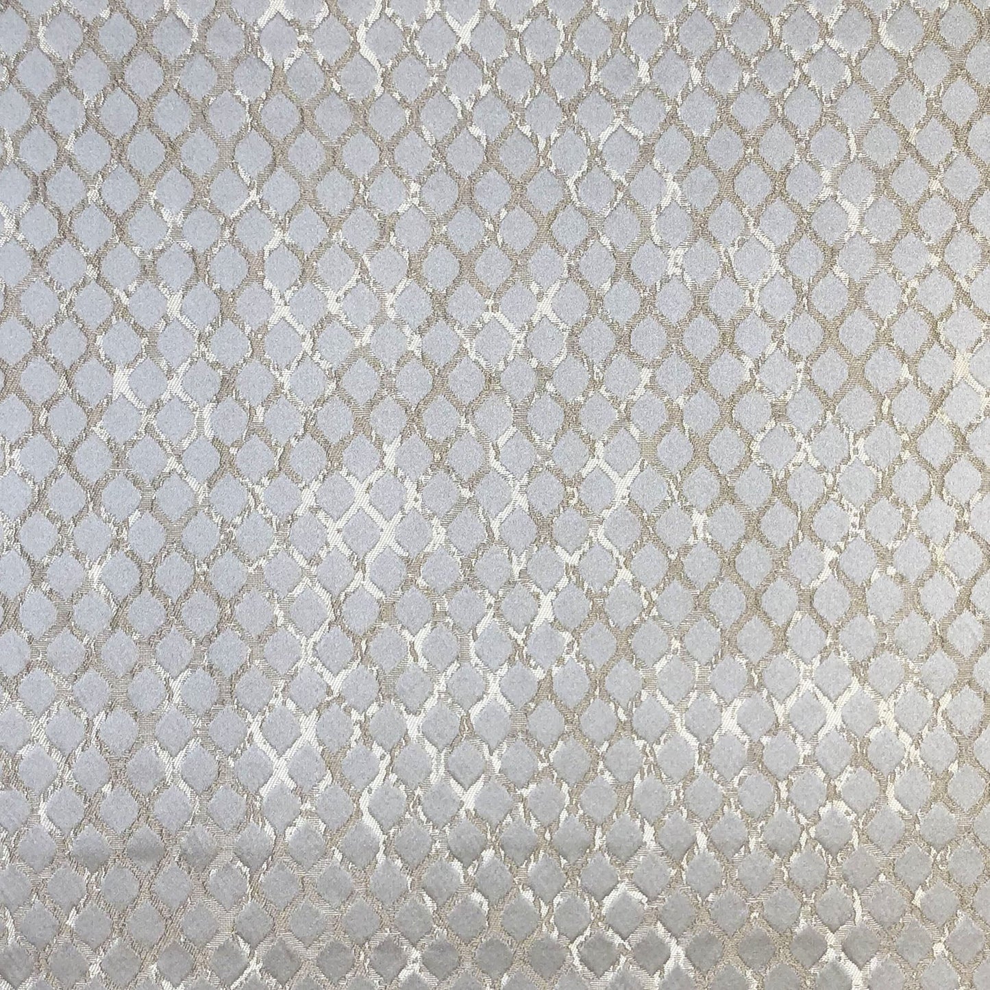 Lauren Fabric