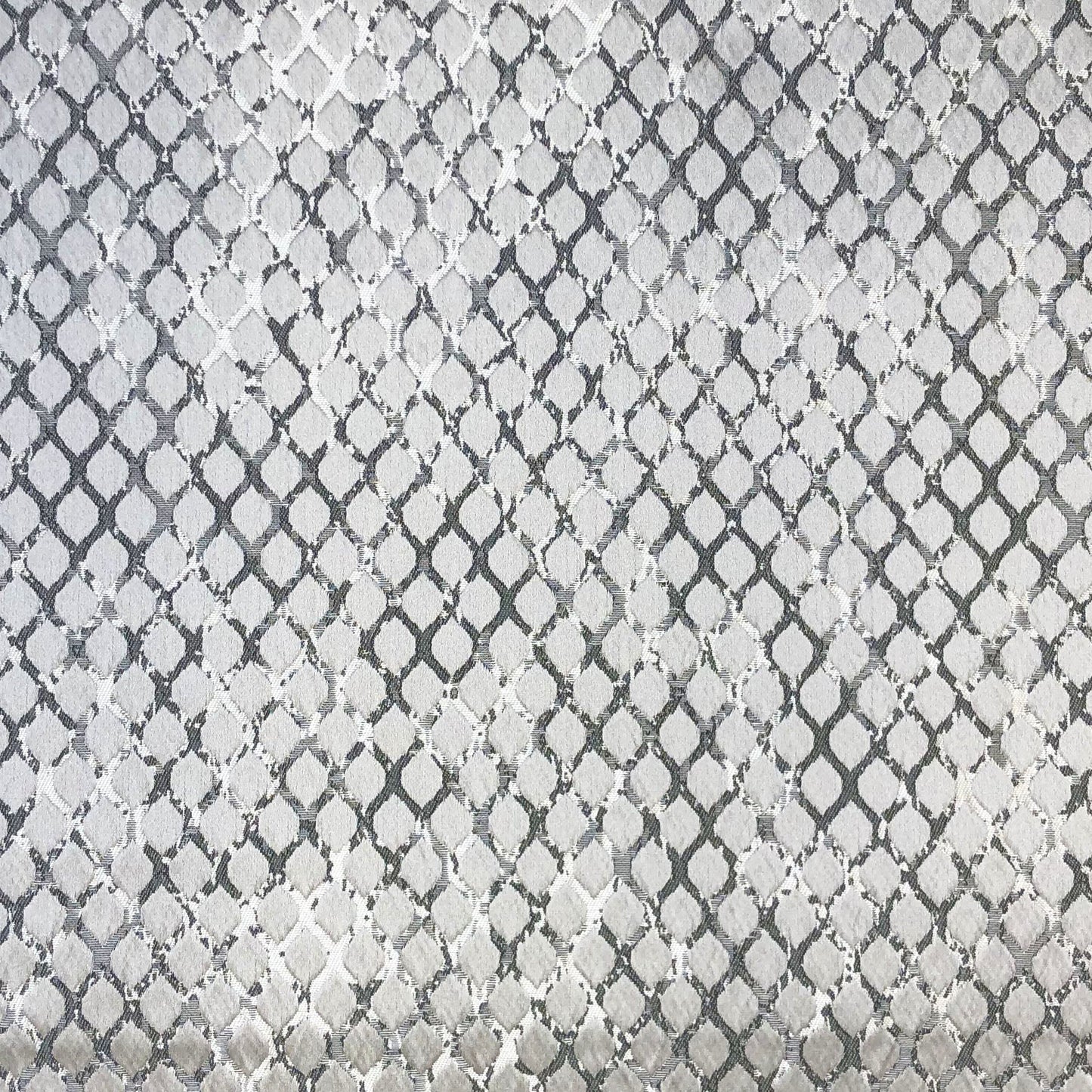 Lauren Fabric