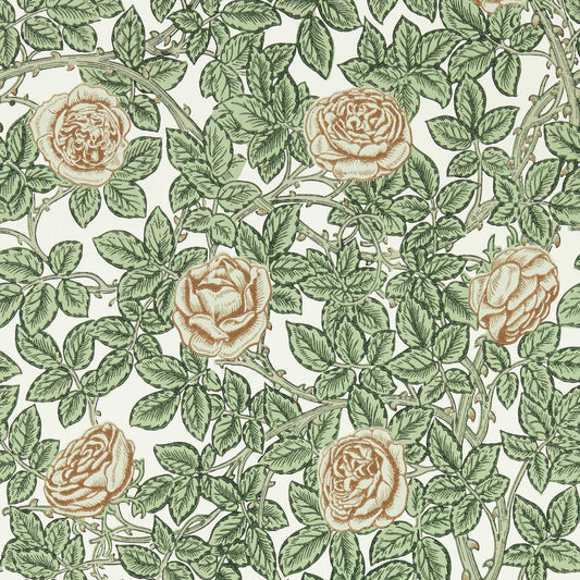 Rambling Rose Wallpaper