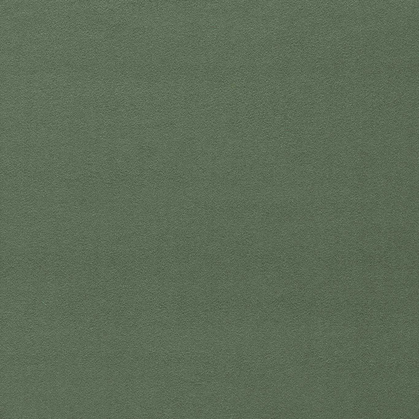 Wardle Velvet Fabric
