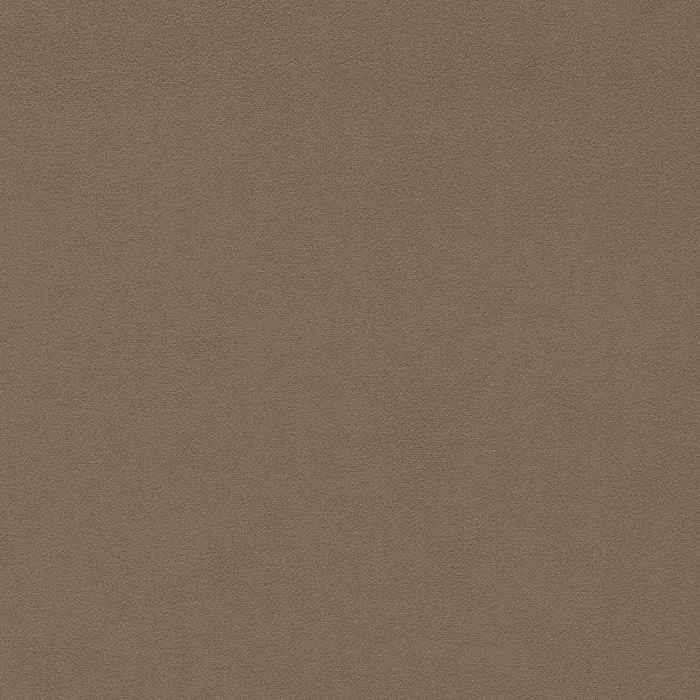 Wardle Velvet Fabric