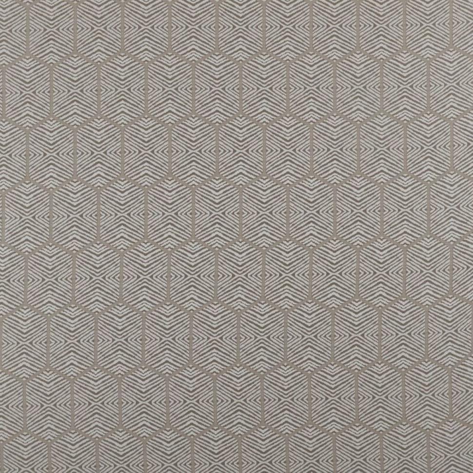 Scorpio Fabric
