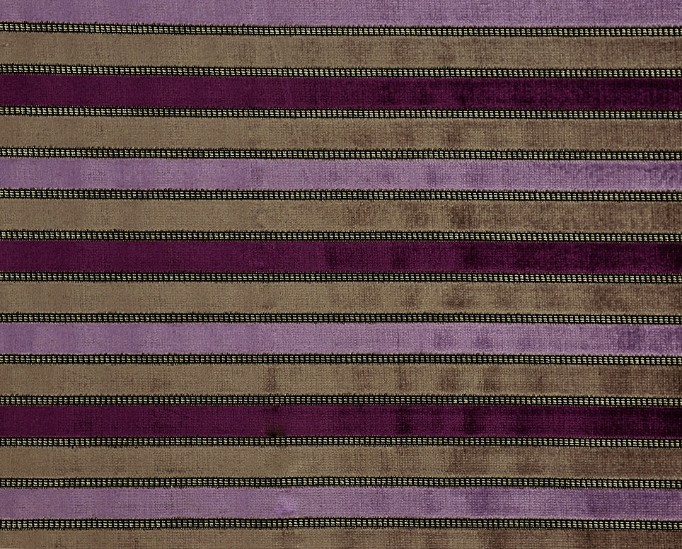 Toucan Fabric