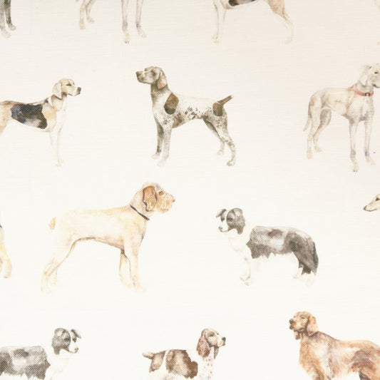 Walkies Fabric