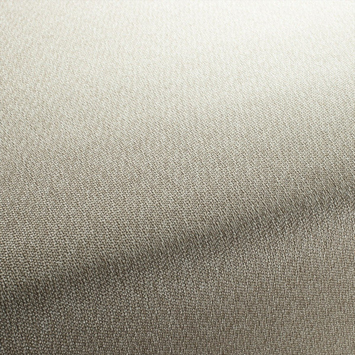 Allan Fabric