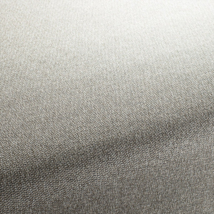 Allan Fabric