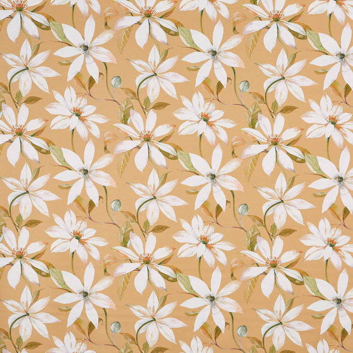 Olivia Fabric