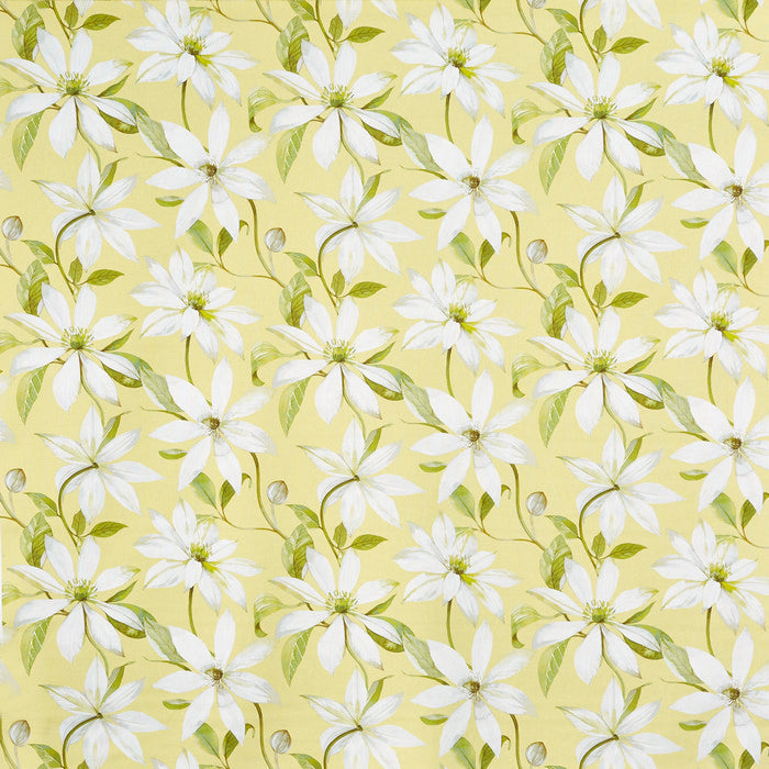 Olivia Fabric