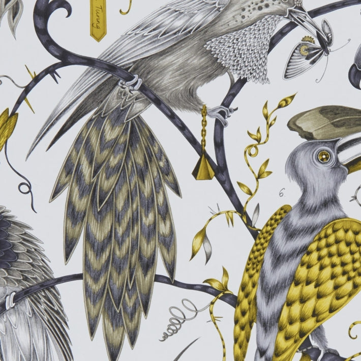 Audubon Wallpaper