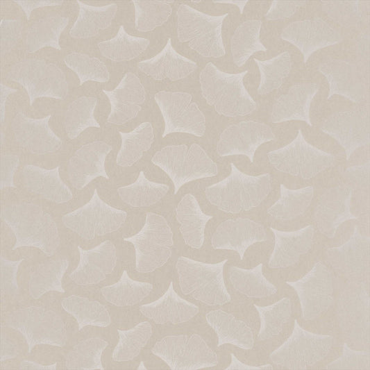 Ginkgo Wallpaper