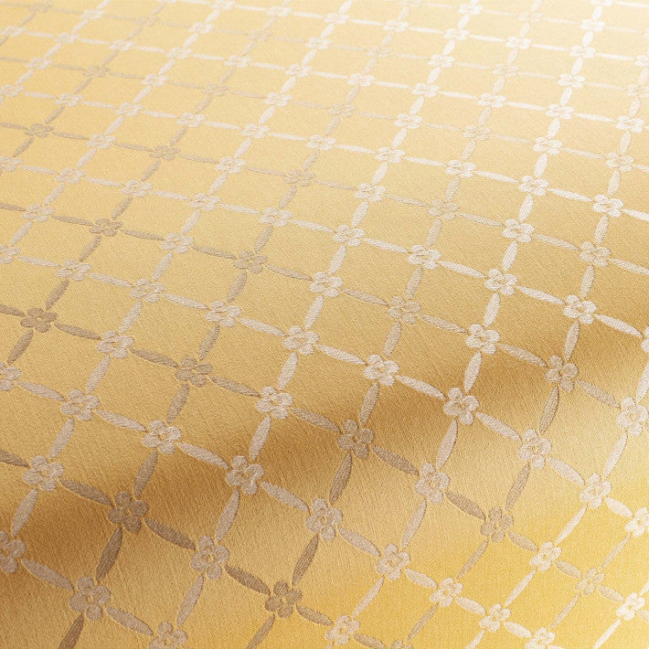 Rhone Fabric