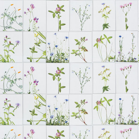 Summer Season Fabric