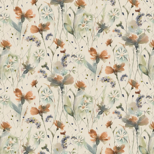 Olearia