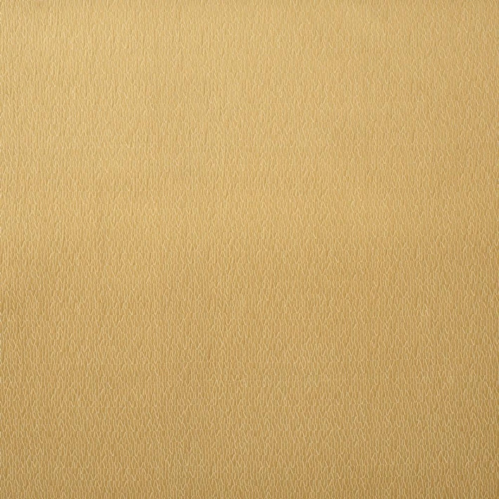 Rayonnement Fabric