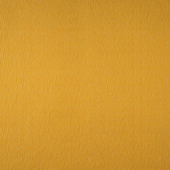 Rayonnement Fabric