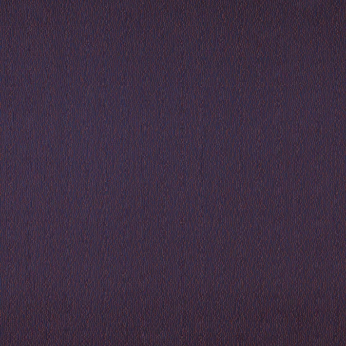 Rayonnement Fabric