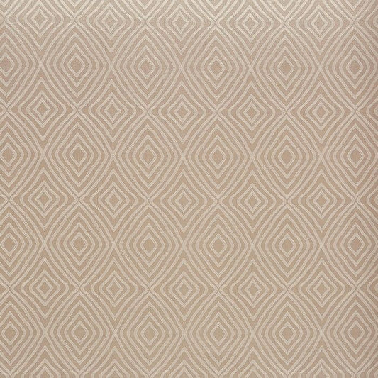 Riddle Fabric