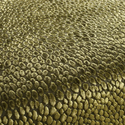 Splendido Fabric