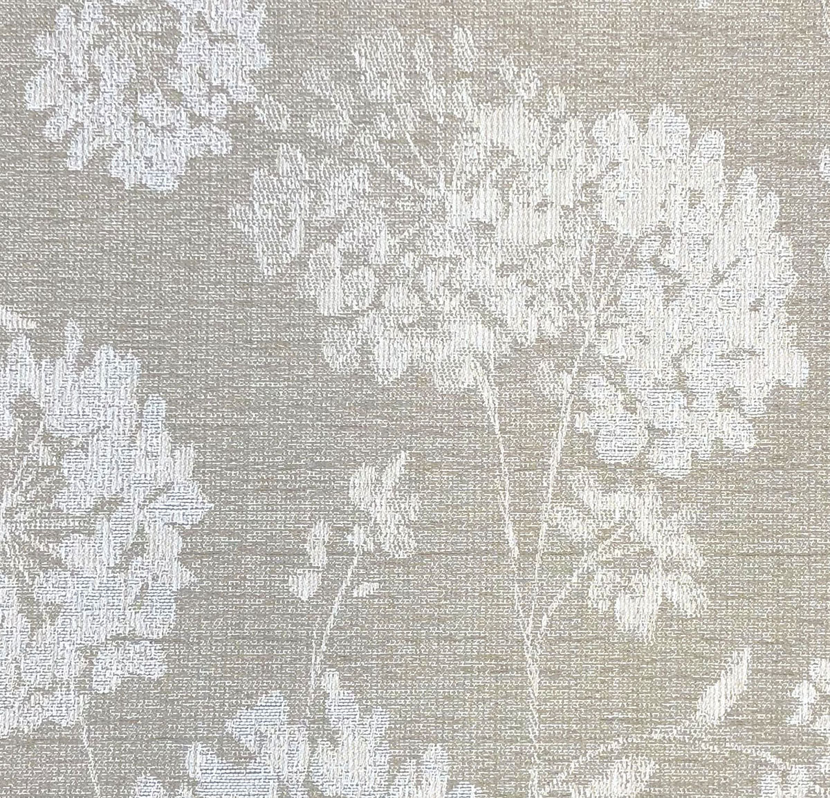 Baxter Fabric
