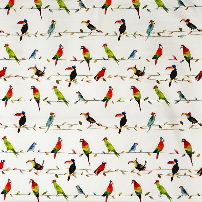 Toucan Talk Fabric