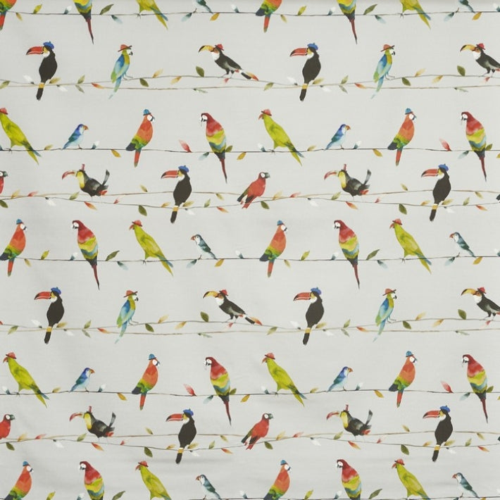 Toucan Talk Fabric