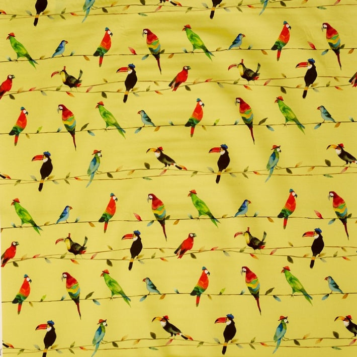 Toucan Talk Fabric